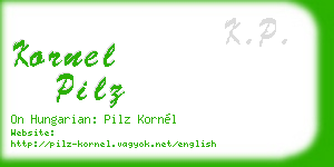 kornel pilz business card